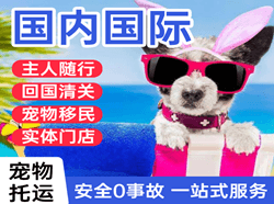 扎兰屯航空快递国际宠物托运 【国